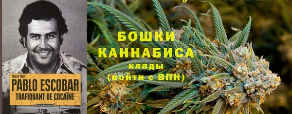 гидра Беломорск