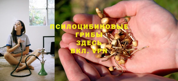 хмурый Белоозёрский